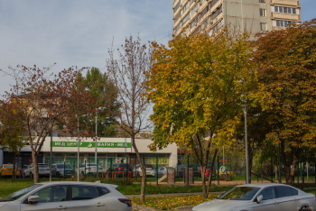 Москва, Духовской переулок, дом 12. Фотограф Марина Роз.