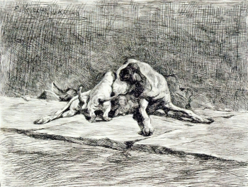 Краснушкина Елизавета Захарьевна. Собака со щенками. Бумага, офорт. 7,7х10,1. 1886. Вологодская областная картинная галерея.