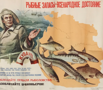 Костюков Пётр Дмитриевич. Плакат `Рыбные запасы - всенародное достояние`. 60х70. 1961. Краснодарский государственный историко-археологический музей-заповедник имени Е.Д.Фелицына.