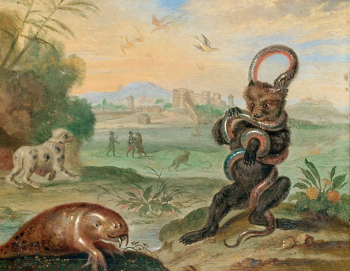 Фердинанд ван Кессель. Пуэрто-Рико. Медь, масло. 17х21. 1689. Музей истории искусств (Вена).