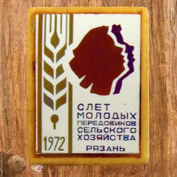 Нагрудный знак `Слёт молодых передовиков сельского хозяйства. Рязань`