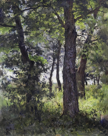Околович Николай Андреевич. Дубки (этюд). Холст, масло. 36,9х29,1. 1900-е. Ярославский художественный музей.