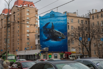 Врождённое сцепление с дорогой (Акула). Граффити на Валовой улице. Фотограф Марина Роз.