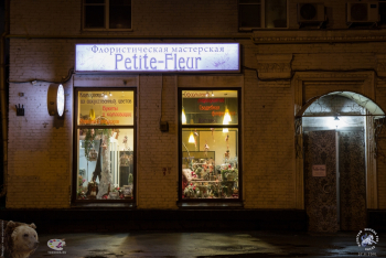 Флористическая мастерская и цветочный магазин-салон Petite Fleur в Москве. 1-й Щипковский переулок, дом 17. Фотограф Марина Роз.