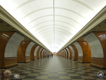 Станция метро `Парк Победы`. Фотограф Марина Роз.