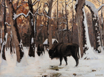 Бровар Яков Иванович. Зубры в зимнем лесу. Холст, масло. 52х71. 1909. Частное собрание.