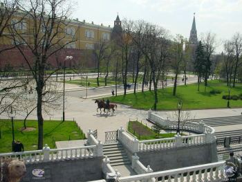 Александровский сад в Москве. Конная милиция. Фотограф Марина Роз.