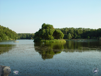 Островок Царицынского Верхнего пруда. Фотограф Марина Роз.