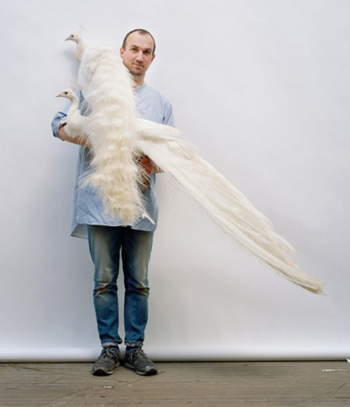 Тим Уолкер. Тим Уолкер (Tim Walker)