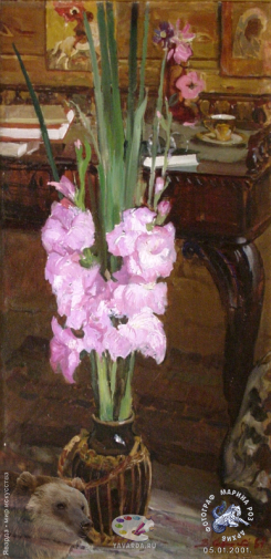 Гладиолусы