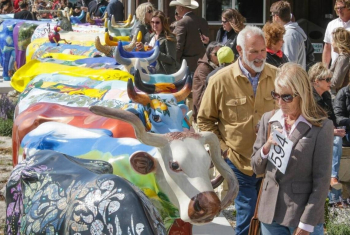 `Парад коров` или `Коровий парад` (CowParade). Неизвестный фотограф.