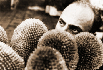 Витторио Валенте (Vittorio Valente). Неизвестный фотограф.