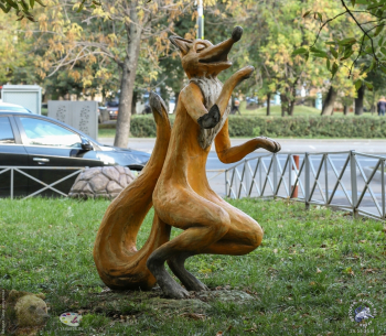 Ландшафтная лиса в профиль. Фотограф Марина Роз.