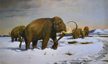 Бекряшев Николай Георгиевич. Стадо мамонтов. Фанера, масло. 82х140. 1920-1930-е. Великоустюгский государственный историко-архитектурный и художественный музей-заповедник.