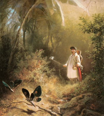 Карл Шпицвег. Ловец бабочек. Доска, масло. 31х25. 1840. Музей Висбадена.