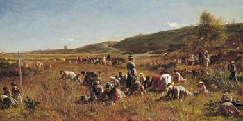 Истмен Джонсон. Сбор клюквы. Холст, масло. 69,5х138,7. 1880. Художественный музей Тимкен.