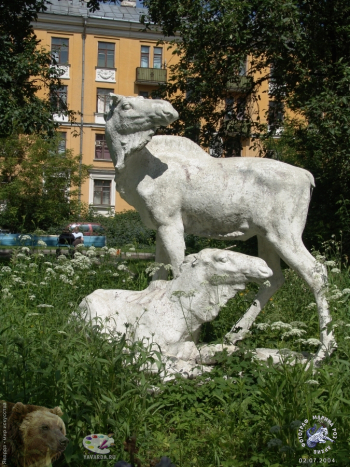 Лось и лосиха в московском дворике на Беговой. Фотограф Марина Роз.