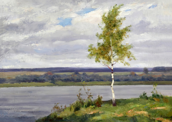 Соколов Николай Александрович. Молодая берёза. Холст на картоне, масло. 50х69,4. 1978. Рыбинский государственный историко-архитектурный и художественный музей-заповедник.