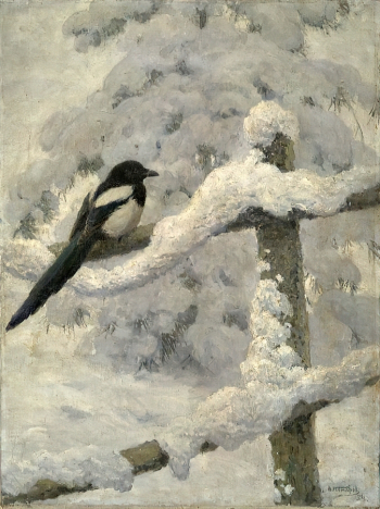 Комаров Алексей Никанорович. Сорока. Холст, масло. 80х60. 1954. Государственный биологический музей имени К.А.Тимирязева.