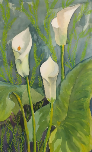 Пригожина Ирина Георгиевна. Калла. Бумага, акварель. 41,3х25. 1980. Сланцевский историко-краеведческий музей.