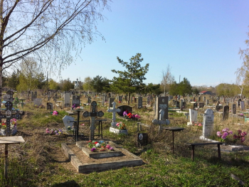 Городское Петергофское кладбище (Бабигонское кладбище). Неизвестный фотограф.