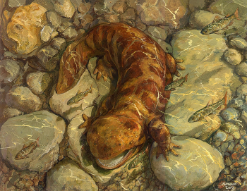 Майкл Ротман. Японская гигантская саламандра. Бумага, акрил. 2010. Частная коллекция.