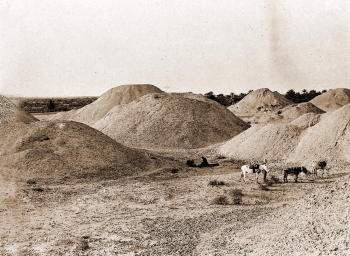 Могильные курганы Дильмуна. Остров Бахрейн. 1918. Неизвестный фотограф.