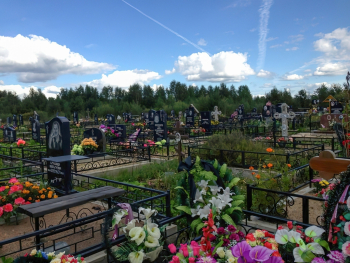 Павловское кладбище в Павловске. Неизвестный фотограф.