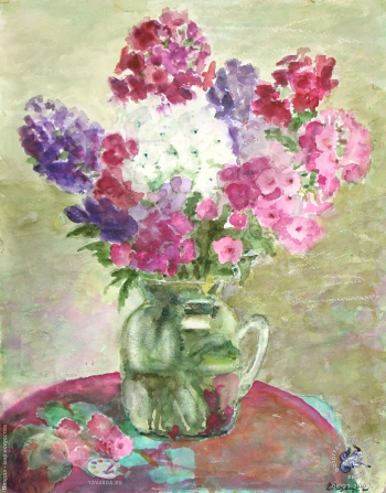 Флоксы