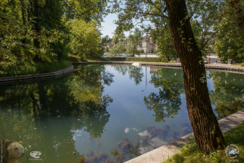 Екатерининский (Елизаветинский) пруд в Нескучном саду. Фотограф Марина Роз.