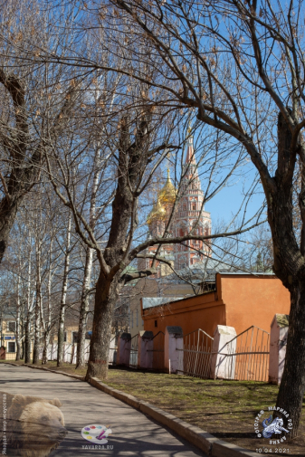 Церковь Воскресения Христова в Кадашах, вид от Приюта для вдов им Третьякова. Фотограф Марина Роз.