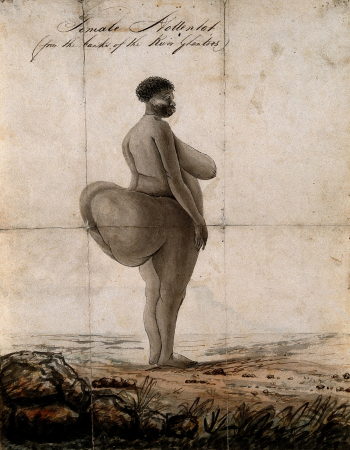 Неизвестный художник. Саарти Бартман (Sarah Baartman) (1790-1815) - Готтентотская Венера. Бумага, акварель. 27,6х21,5. Коллекция Уэллкома.