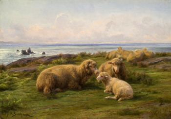 Роза Бонёр. Овцы у моря. Доска, масло. 32,3х45,7. 1865. Национальный музей женского искусства (Вашингтон).