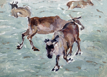 Каунченко Евгений Петрович. Олени (этюд). Холст, масло. 12,5х17,2. 1975. Музей вечной мерзлоты.