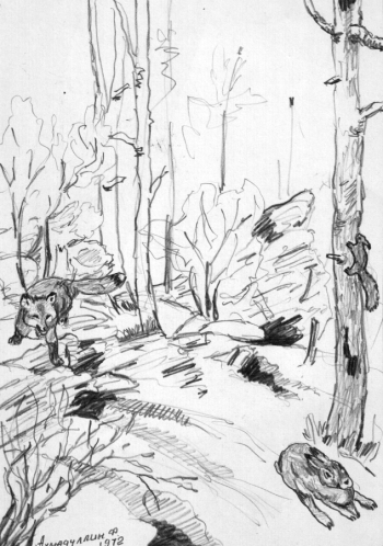 Ахмадуллин Фарух Зиннатович. На Шунге. Бумага, карандаш. 57х45. 1972. Музейно-краеведческий центр (Куса).