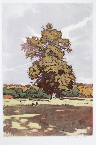 Красковский Сергей Семёнович. Старый дуб. Бумага, офорт. 63х42. 1959. Пермская государственная художественная галерея.