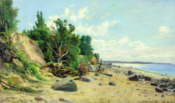 Шишкин Иван Иванович. Берег моря. Холст, масло. 35х59. 1890. Калужский областной художественный музей.