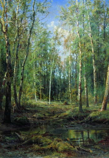 Шишкин Иван Иванович. Берёзовая роща. Холст, масло. 115х88. 1875. Полтавский областной художественный музей имени Николая Ярошенко.