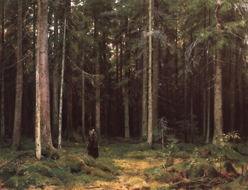 Шишкин Иван Иванович. В лесу графини Мордвиновой. Петергоф. Холст, масло. 81х108. 1891. Государственная Третьяковская галерея.