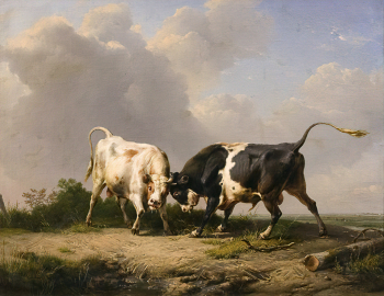 Эжен Жозеф Вербукховен. Дерущиеся быки. Холст, масло. 89,5х116,5. 1851. Научно-исследовательский музей при Российской Академии художеств.