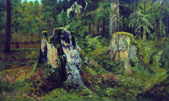 Шишкин Иван Иванович. Пейзаж с пнём. Холст, масло. 36х60. 1892. Ростовский областной музей изобразительных искусств.