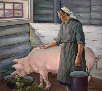 Ширякин Николай Михайлович. Люскова А.Е. за кормлением свиньи. Холст, масло. 133х154. 20 век. Вологодский государственный историко-архитектурный и художественный музей-заповедник.