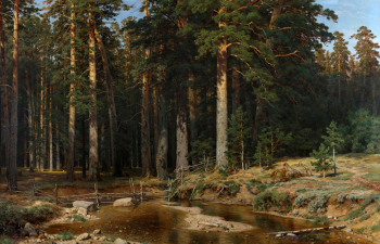 Шишкин Иван Иванович. Корабельная роща. Холст, масло. 165х252. 1898. Государственный Русский музей.