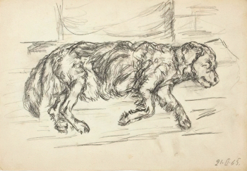 Лозовой Николай Григорьевич. Лежащая собака (Каштанка). Бумага, карандаш. 20,5х30. 1965. Государственный музей изобразительных искусств имени А.С.Пушкина.