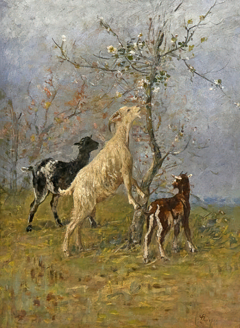 Альберт Шарпен. Козы. Картон, масло. 67х52. Частное собрание.