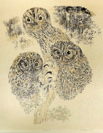 Чарушин Никита Евгеньевич. Неясыти. Картон, автолитография. 59,5х46. 1981. Мордовский республиканский музей изобразительных искусств имени С.Д.Эрьзи.