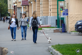 Девочка с собачкой на чётной стороне Мытной улицы. Фотограф Марина Роз.