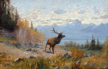 Джон Фери. Лось в Тетон Рэнж, Вайоминг. Холст, масло. 35,5х55,8. Частное собрание.