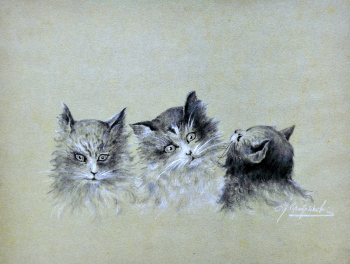 Серебряков Константин Иванович. Котята. Копия с работы неизвестного художника. Бумага, соус, гуашь. 17х22,5. 1914. Нижнетагильский музей-заповедник Горнозаводской Урал.