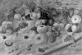Пищалкин Иван Николаевич. Натюрморт с гибридами. Бумага, акварель. 1932. Местонахождение работы неизвестно.